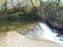 Confederación Hidrográfica del Tajo trabaja para recuperar las poblaciones de ciprínidos autóctonos endémicos en la provincia de Salamanca