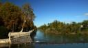 Restauración Fluvial de un tramo del río Tajo en el término municipal de Aranjuez
