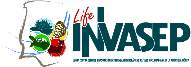Logo Invasep