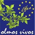 Logo del proyecto Olmos Vivos.
