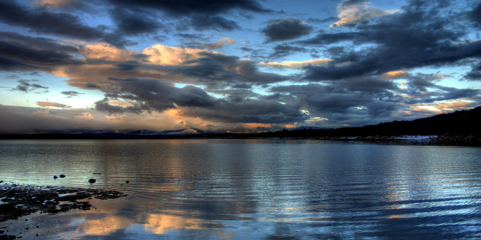 Frame 61