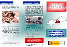 Imagen del tríptico divulgativo